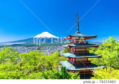 《山梨県》富士山と新緑と五重の塔・新倉山浅間公園 78255865
