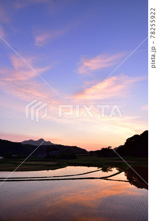 宇陀雨師の棚田 78255922