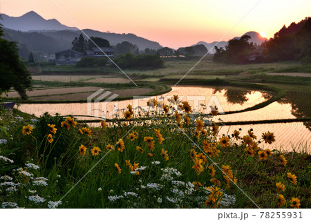 宇陀雨師の棚田 78255931