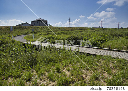 埼玉の沈下橋（冠水橋）鎌取橋・小畔川　埼玉県川越市 78256148