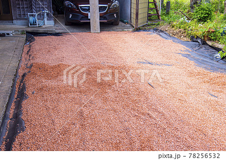 庭や駐車場に瓦チップを敷く 78256532
