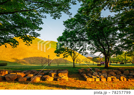 Daereungwon ancient tomb in Gyeongju, Korea 78257799