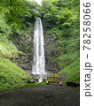 夏の玉簾の滝 78258066
