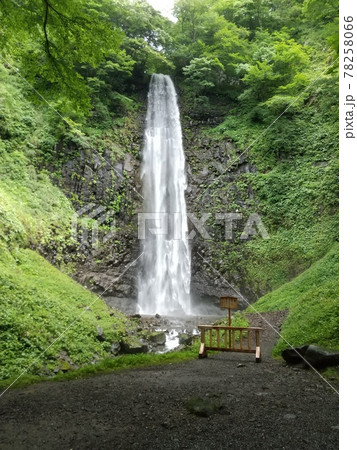 夏の玉簾の滝 夏の玉簾の滝 78258066