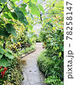 植物に囲まれた小道 78258147
