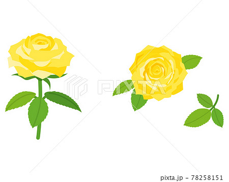 H. Wada 黄色のバラの絵 H. Wada 黄色のバラの絵 油絵 黄色い薔薇 F0号 | 癒しの風景