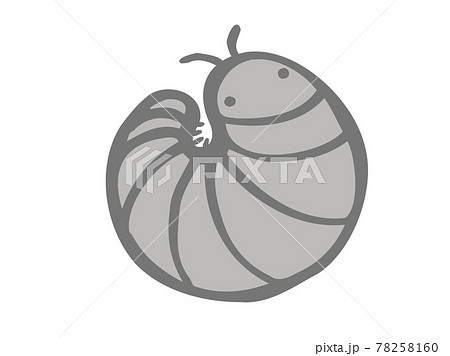 かわいい丸いダンゴムシ 虫 生き物 手書きイラストのイラスト素材