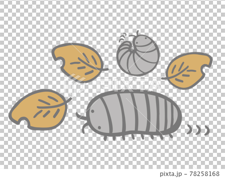 Cute pill bug and dead leaf set insect creature / handwritten illustration 78258168
