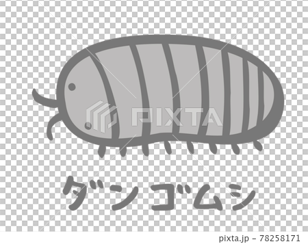 かわいいダンゴムシ 虫 生き物 手書き文字イラストのイラスト素材