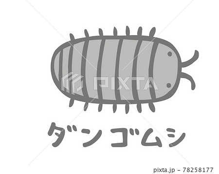 かわいいダンゴムシ 虫 生き物 手書き文字イラストのイラスト素材