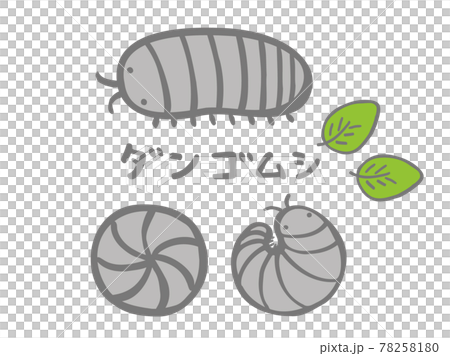 かわいいダンゴムシと葉セット 虫 生き物 手書き文字イラストのイラスト素材