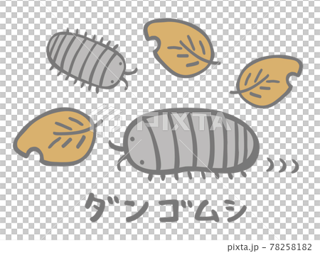 かわいいダンゴムシと枯葉セット 虫 生き物 手書き文字イラストのイラスト素材 7581