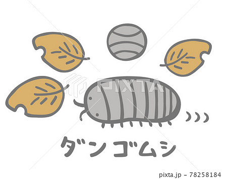 かわいい進むダンゴムシと枯葉 虫 生き物 手書き文字イラストのイラスト素材