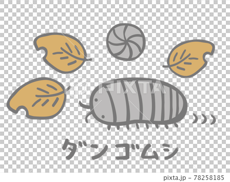 Cute pill bug and dead leaf insect creature / handwritten character illustration 78258185