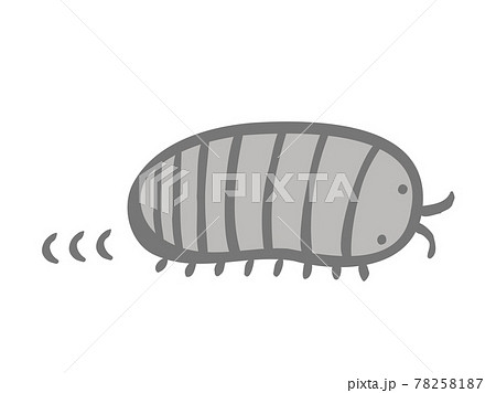 かわいい進むダンゴムシ 虫 生き物 手書きイラストのイラスト素材