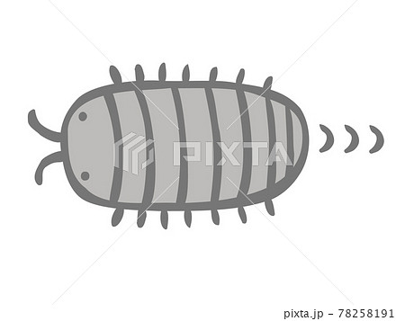 かわいい進むダンゴムシ 虫 生き物 手書きイラストのイラスト素材