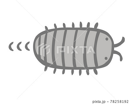 かわいい進むダンゴムシ 虫 生き物 手書きイラストのイラスト素材
