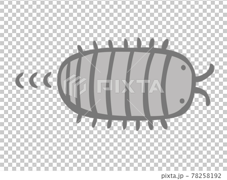 Cute pill bug insect creature / handwritten illustration Cute pill bug insect creature / handwritten illustration 78258192