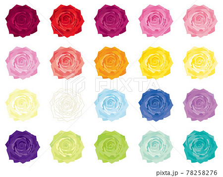 カラフルな薔薇の花　カラーバリエーション 78258276