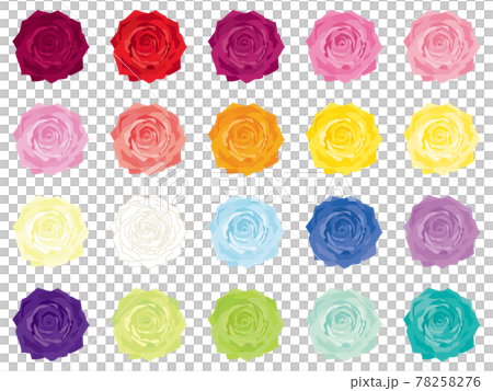 カラフルな薔薇の花　カラーバリエーション 78258276