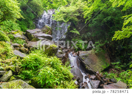 （神奈川県）箱根、飛竜の滝 78258471