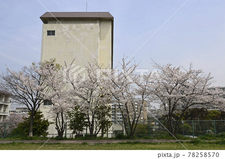 千里ニュータウン新千里南町（大阪府豊中市）の府公社千里南町メゾネット団地 78258570
