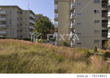 千里ニュータウン新千里南町(大阪府豊中市)の府営新千里南住宅 千里ニュータウン新千里南町(大阪府豊中市)の府営新千里南住宅 78258601