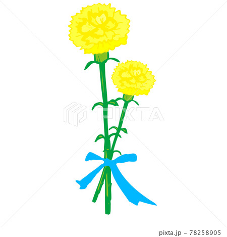 イラスト素材 父の日 手書きのカーネーション リボンで結んだ2本のイラスト素材 7505