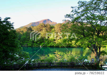 初夏の五色沼・毘沙門沼（福島県・裏磐梯） 78259022