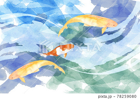 鯉が泳いでいる水彩イラストのイラスト素材 鯉が泳いでいる水彩イラストのイラスト素材