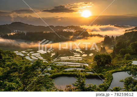 《新潟県》星峠の棚田・日本の原風景 《新潟県》星峠の棚田・日本の原風景 78259612