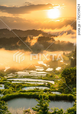 《新潟県》星峠の棚田・日本の原風景 78259624
