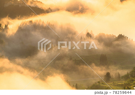 《新潟県》星峠の棚田・日本の原風景 《新潟県》星峠の棚田・日本の原風景 78259644