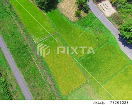 田園地帯・道路〜ドローンで空撮(福島県大沼郡会津美里町大石字家ノ下) 田園地帯・道路〜ドローンで空撮(福島県大沼郡会津美里町大石字家ノ下) 78261023