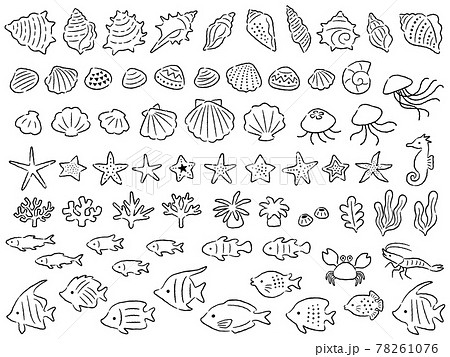 海の生き物の手描き風線画イラストセットのイラスト素材