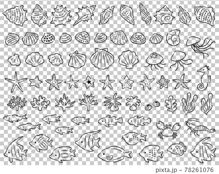 海の生き物の手描き風線画イラストセット 78261076
