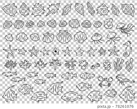 海の生き物の手描き風線画イラストセット 78261076