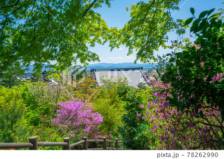 京都 天龍寺 京都 天龍寺 78262990
