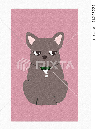 正面から見たお座りするフレンチブルドッグのイラスト 78263227