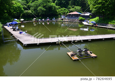 初夏の寺家ふるさと村 78264695