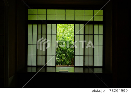 令和3年春の特別拝観 瑠璃光院 額縁構図と青もみじ 令和3年春の特別拝観 瑠璃光院 額縁構図と青もみじ 78264999