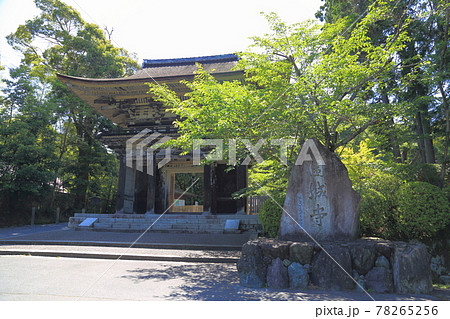 三井寺　仁王門（天台寺門宗　総本山園城寺・西国十四番札所）【滋賀県大津市】 78265256