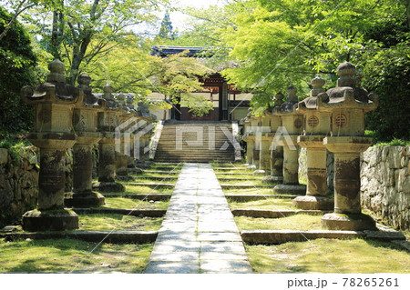 三井寺(天台寺門宗 総本山園城寺・西国十四番札所)【滋賀県大津市】 三井寺(天台寺門宗 総本山園城寺・西国十四番札所)【滋賀県大津市】 78265261