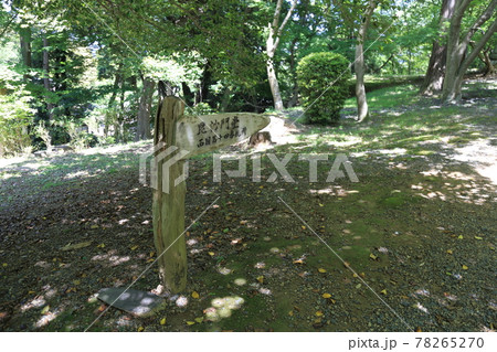 三井寺(天台寺門宗 総本山園城寺・西国十四番札所)【滋賀県大津市】 三井寺(天台寺門宗 総本山園城寺・西国十四番札所)【滋賀県大津市】 78265270