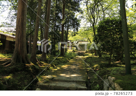 三井寺（天台寺門宗　総本山園城寺・西国十四番札所）【滋賀県大津市】 78265273