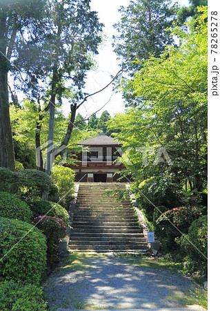 三井寺(天台寺門宗 総本山園城寺・西国十四番札所)【滋賀県大津市】 三井寺(天台寺門宗 総本山園城寺・西国十四番札所)【滋賀県大津市】 78265278