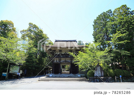 三井寺 仁王門(天台寺門宗 総本山園城寺・西国十四番札所)【滋賀県大津市】 三井寺 仁王門(天台寺門宗 総本山園城寺・西国十四番札所)【滋賀県大津市】 78265286