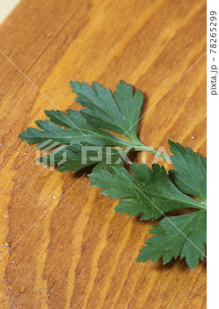 イタリアンパセリ 78265299