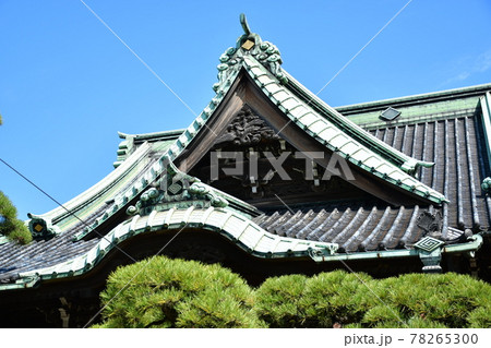 帝釈堂と青空 帝釈堂と青空 78265300