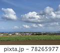 空と海と畑 78265977